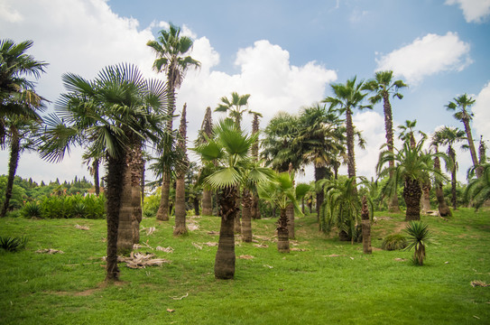公園景觀