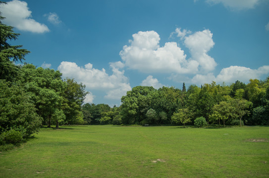 藍天綠地