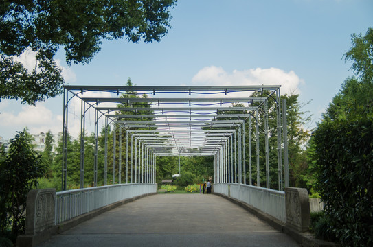 景觀橋