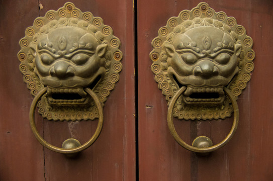 門環(huán)
