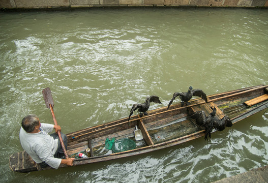 船家和魚(yú)鷹