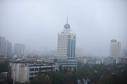 電視臺