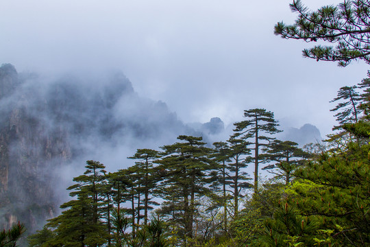 黃山