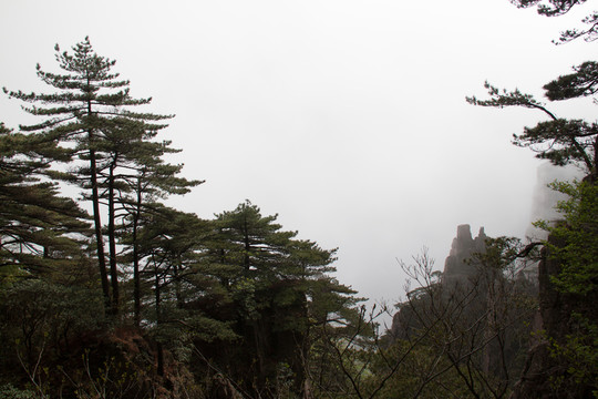 黃山