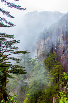 黃山