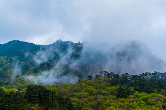 黃山