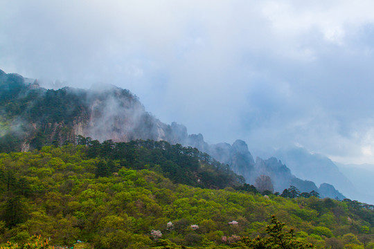 黃山
