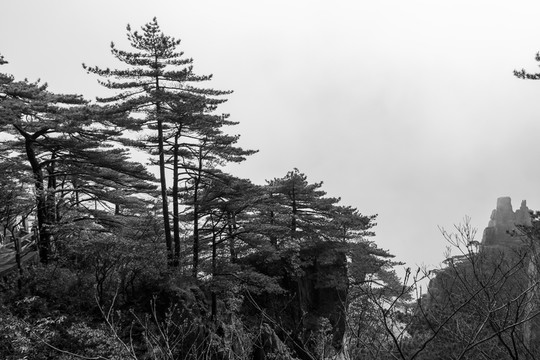 黃山