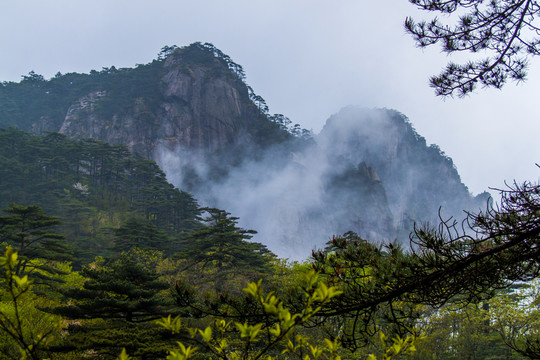黃山