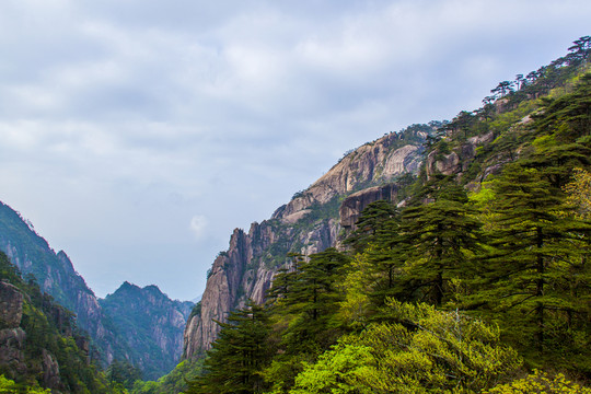 黃山