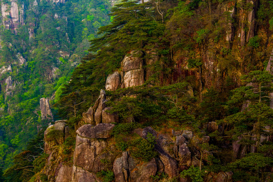 黃山