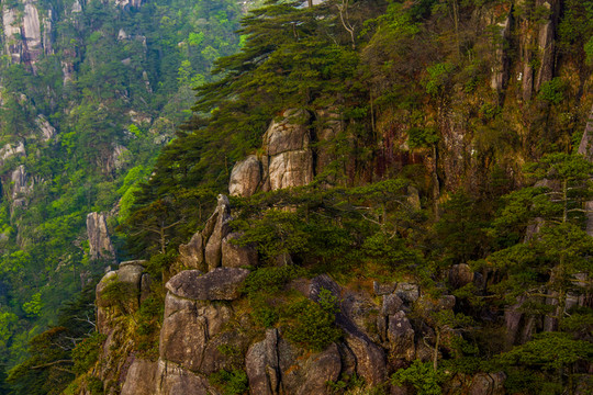 黃山