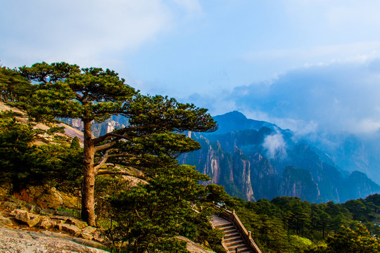 黃山
