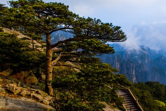 黃山