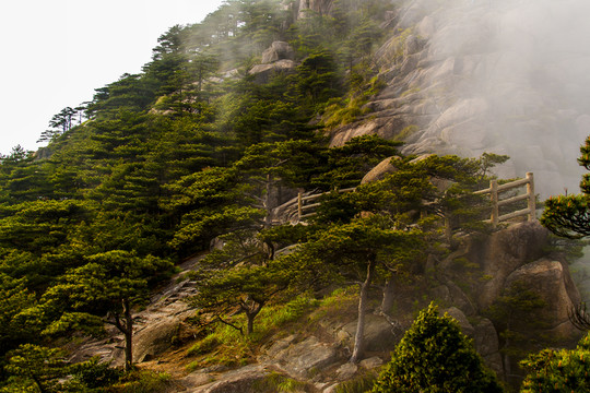 黃山