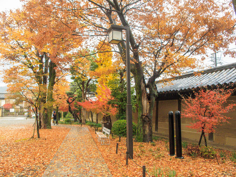 秋天日本園林風(fēng)光