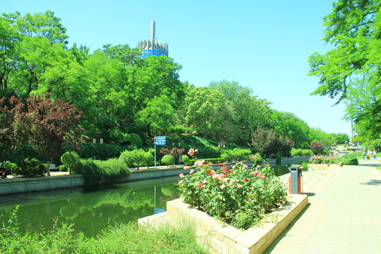 公園綠化