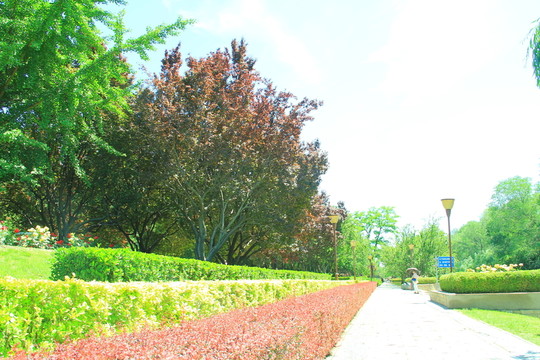 公園綠化帶