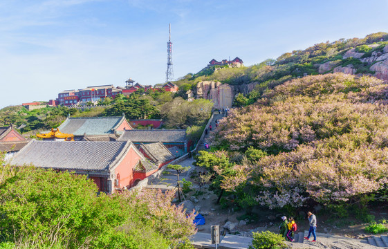 泰山風(fēng)光 （20）