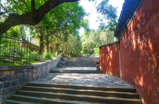 泰山風(fēng)光 （30）