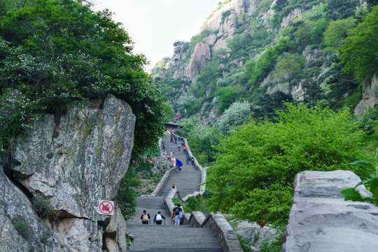 泰山風(fēng)光 （45）