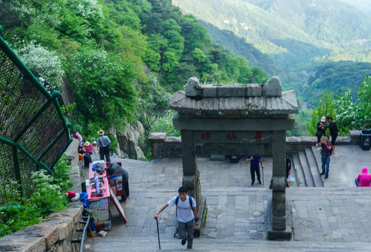 泰山風光 （52）