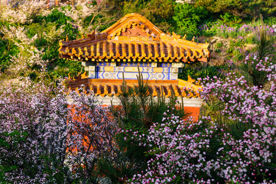 泰山風(fēng)光 （70）