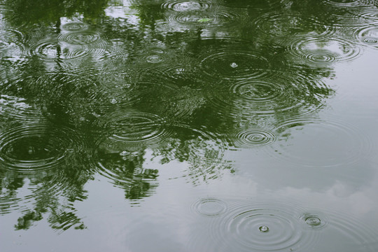 雨紋 波紋