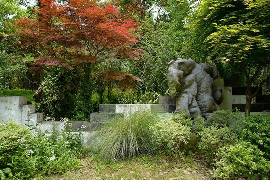 上海 聞道園 園林 植物 戶外