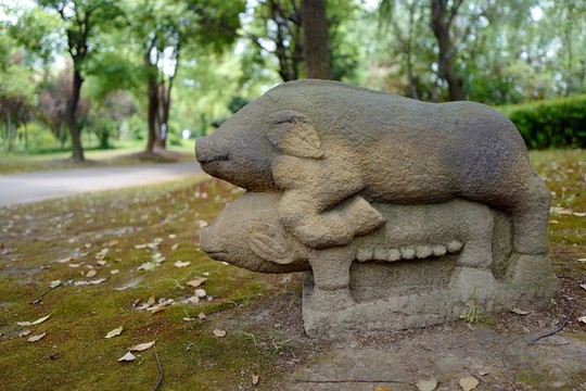 上海 聞道園 園林 中式建筑