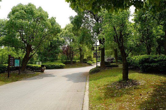 上海 聞道園 園林 植物 戶外