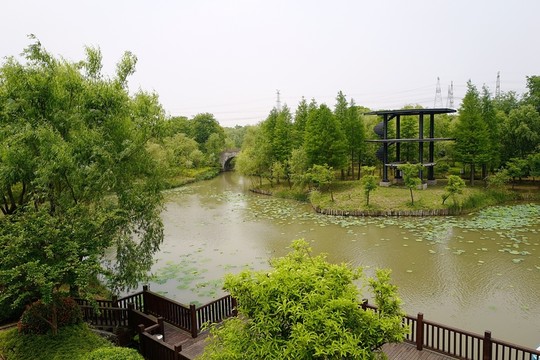 上海 聞道園 園林 植物 戶外