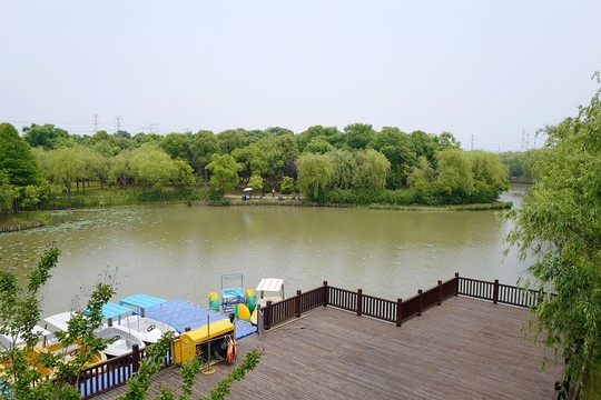 上海 聞道園 園林 植物 戶外