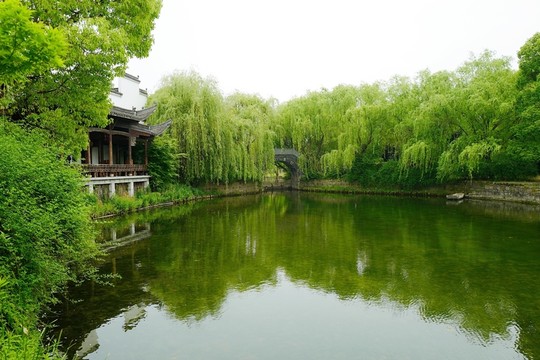 上海 聞道園 園林 中式建筑