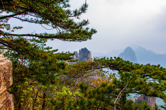 黃山