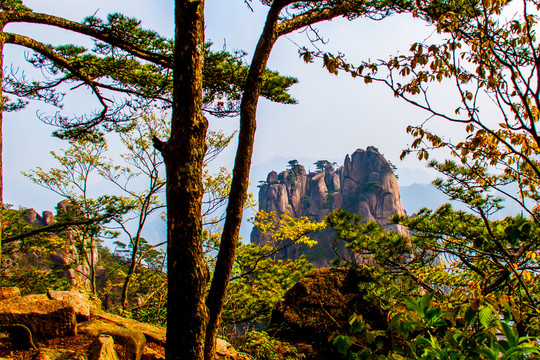 黃山
