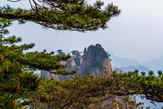 黃山
