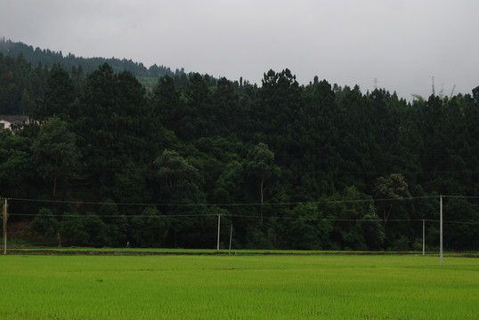 云南騰沖