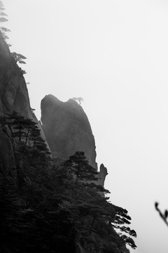 黃山