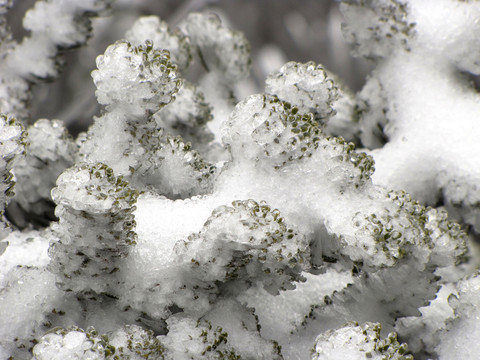 峨嵋山 雪景