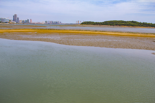 唐島灣