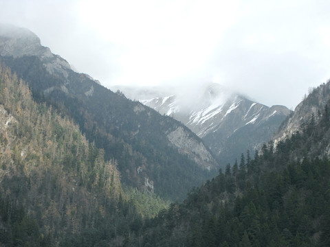 九寨溝 雪山
