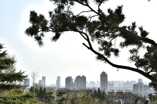 山下的城市
