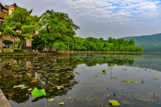 浙江錢江畫(huà)院