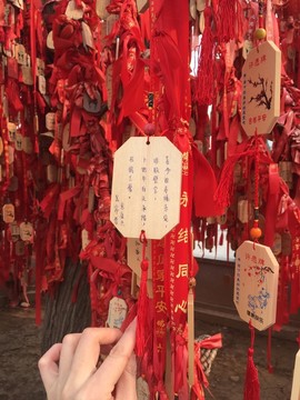 許愿樹 許愿牌