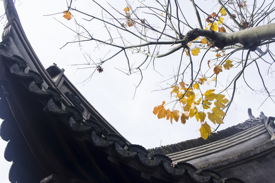 傳統(tǒng)建筑屋檐飛檐