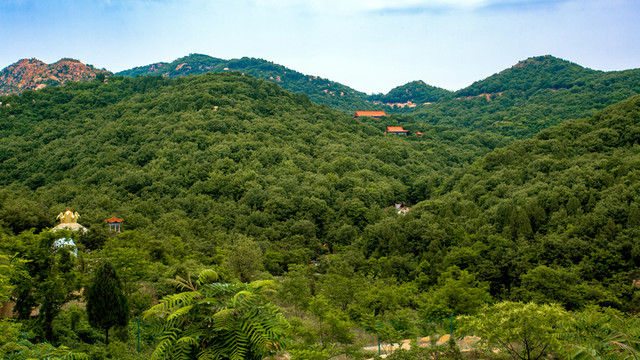 蓮青山
