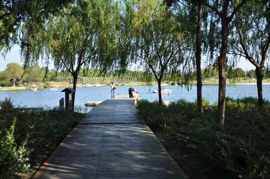 上海辰山植物園