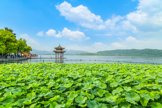 杭州西湖風(fēng)光