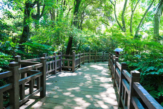 仿木棧道 水泥棧道